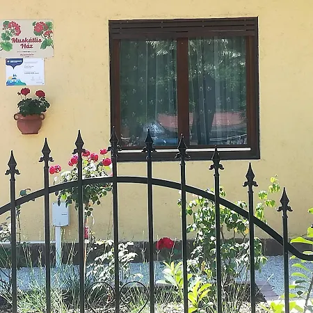 Muskatlis Haz Проживание в семье *