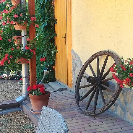 Проживание в семье Muskatlis Haz