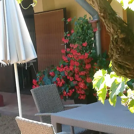 Проживание в семье Muskatlis Haz